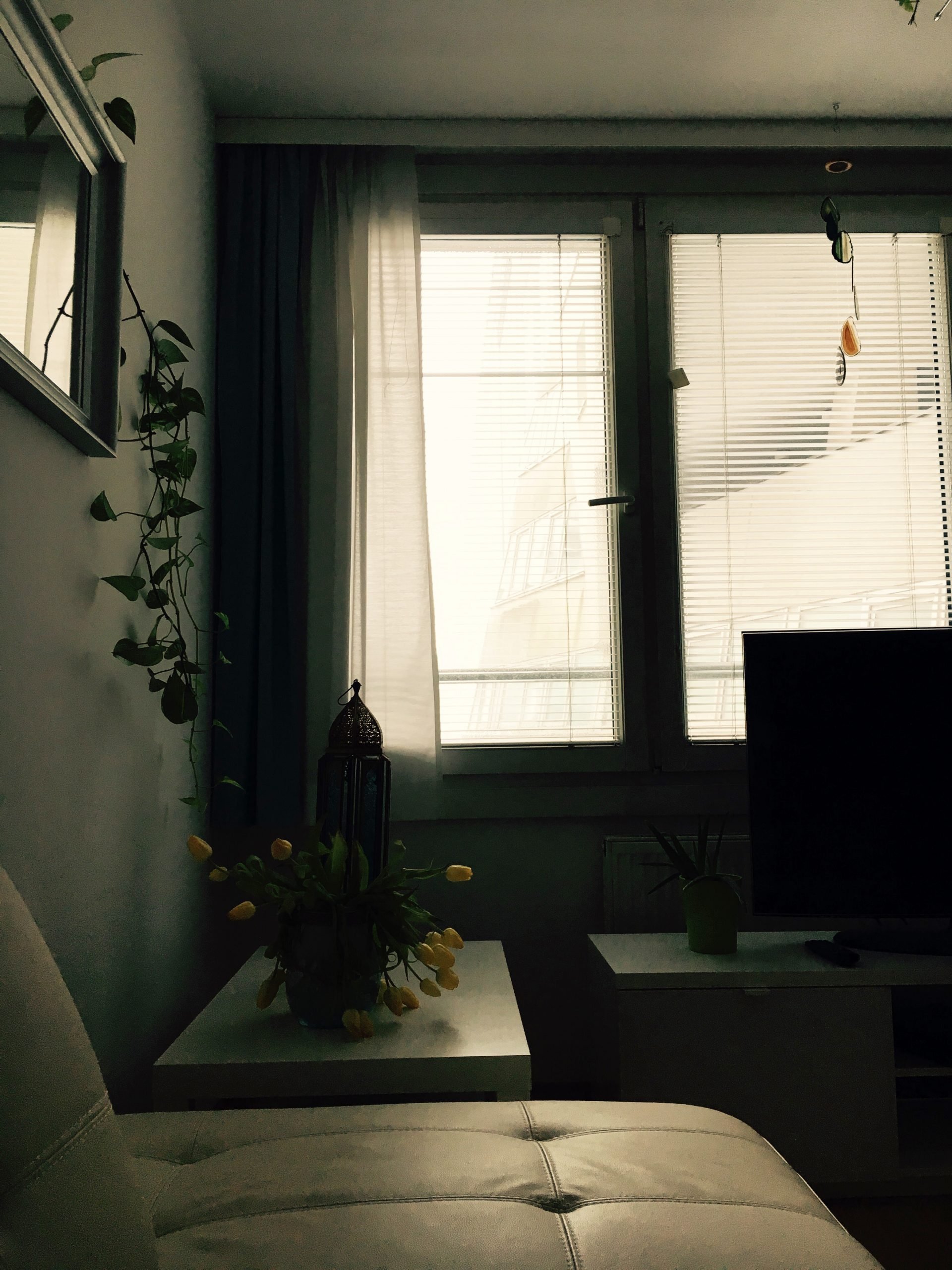 A peep out of an introvert’s window